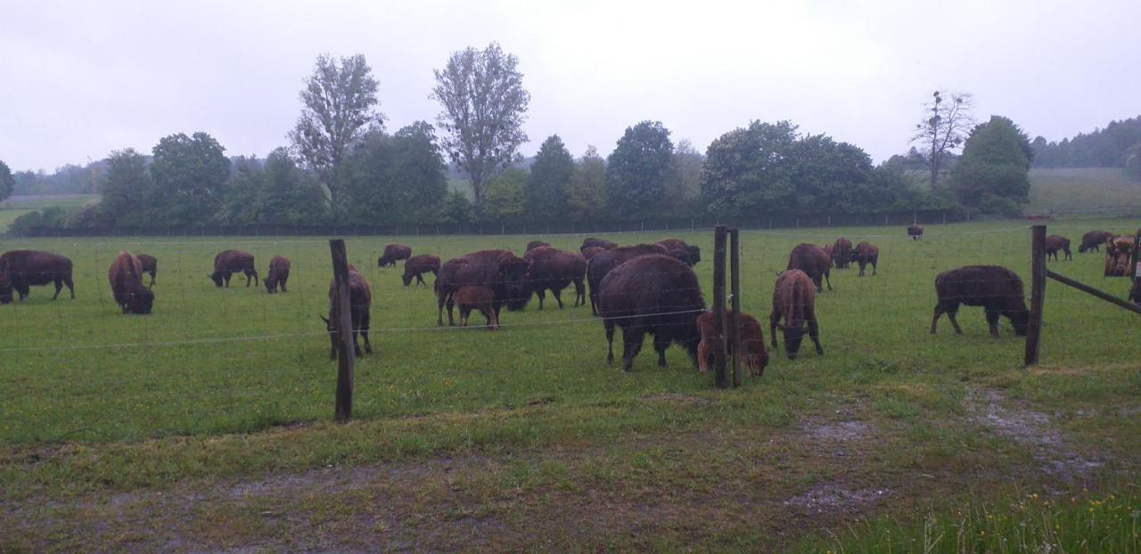 Highland Accommodation Bavaria Weilheim in Oberbayern Bagian luar foto