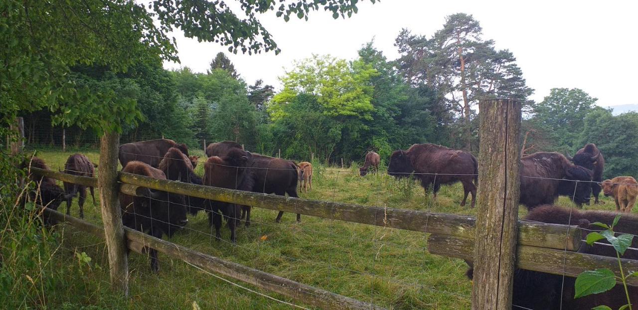 Highland Accommodation Bavaria Weilheim in Oberbayern Bagian luar foto